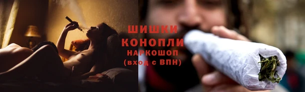 PSILOCYBIN Тихвин