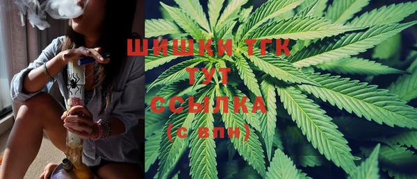 PSILOCYBIN Тихвин