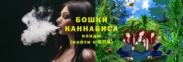 PSILOCYBIN Тихвин