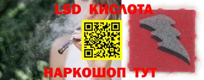 крисы Аргун